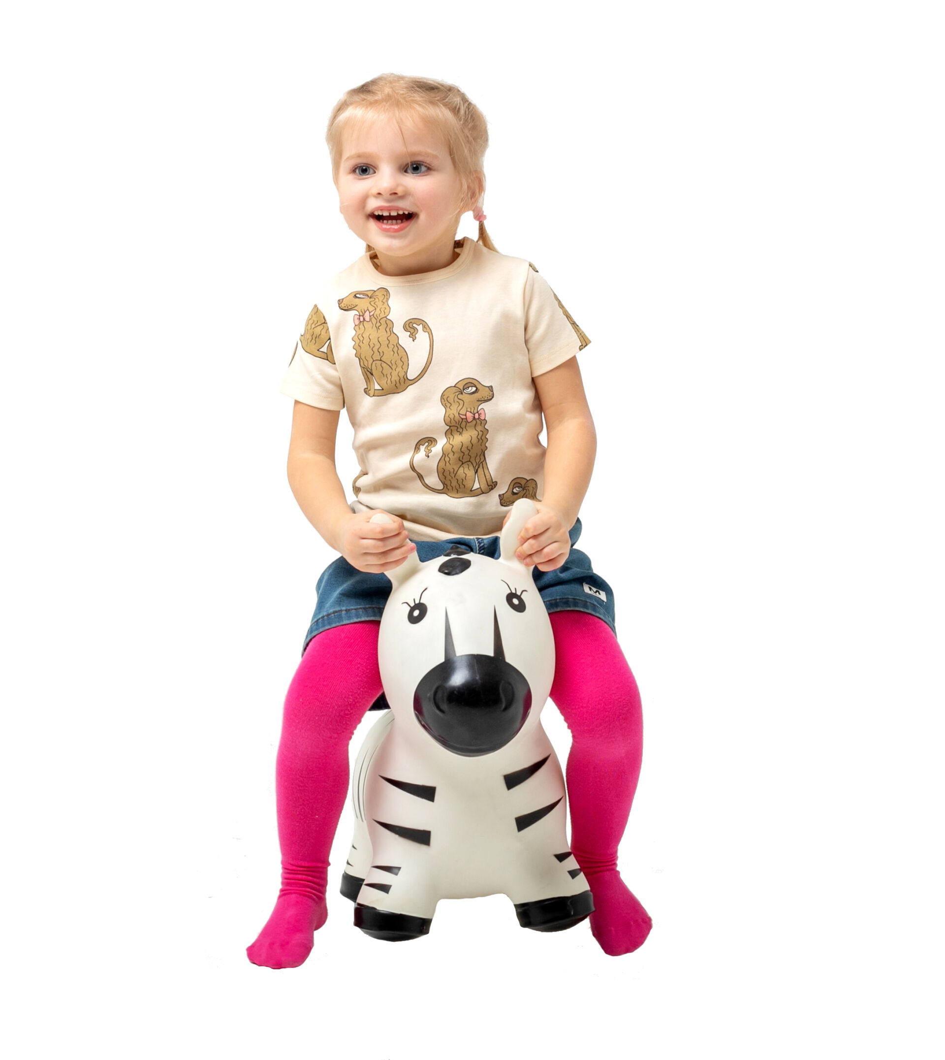 My First JUMPY - Zebra - Image 2