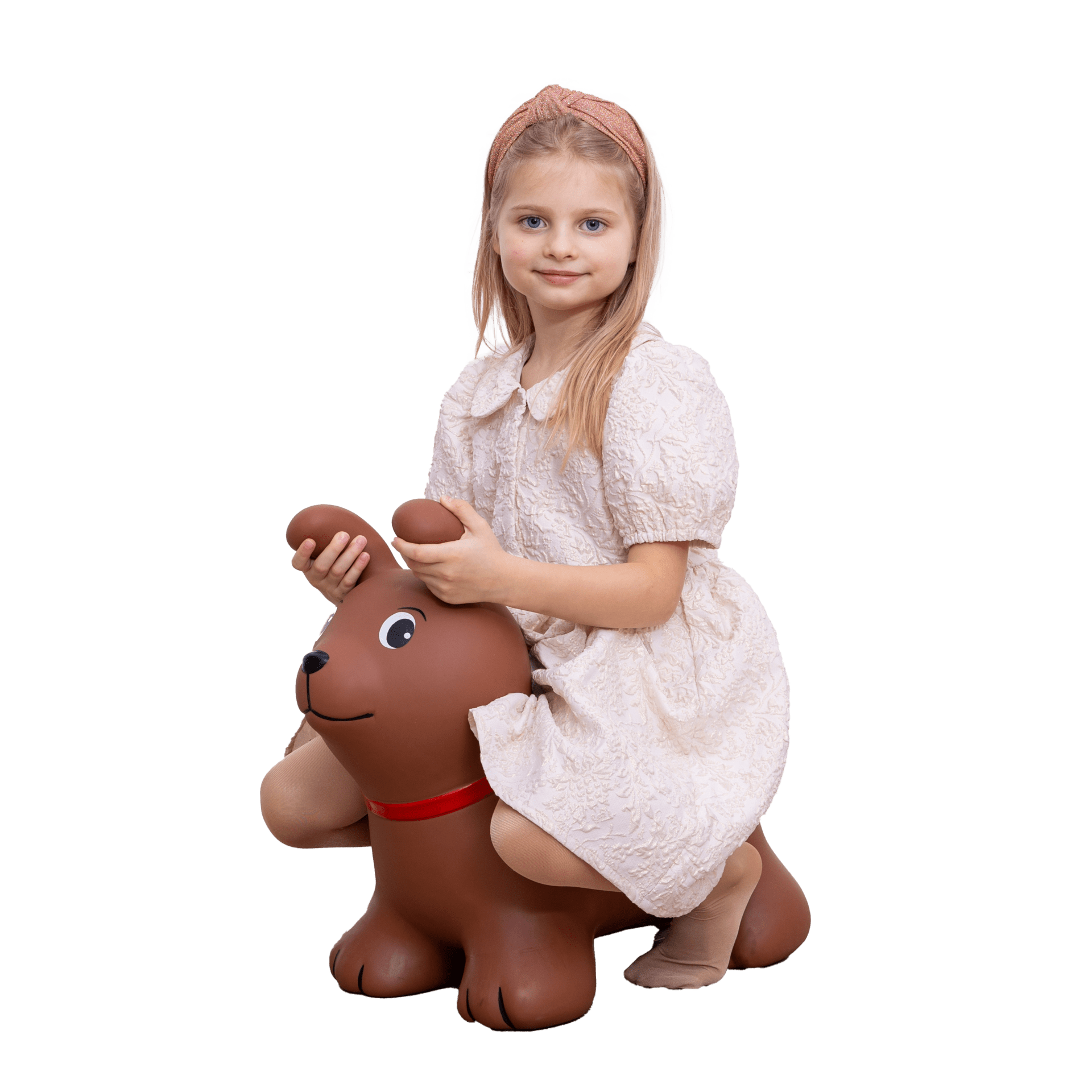 My First JUMPY - a brown dog - Image 2