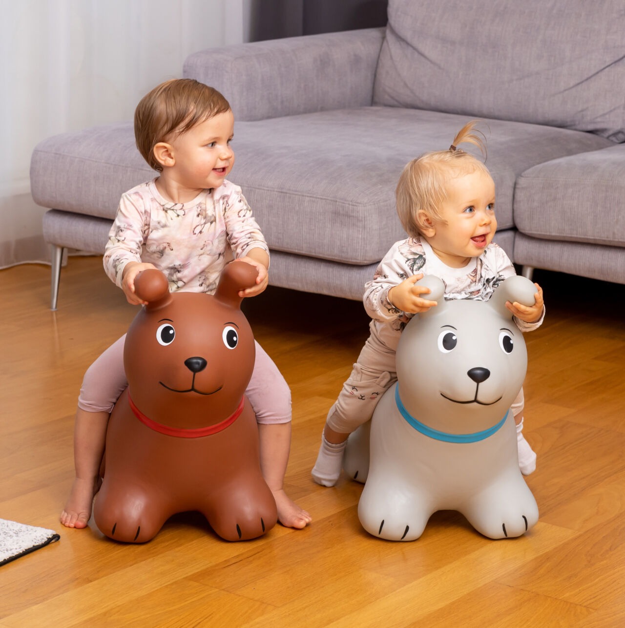 My First JUMPY - a brown dog - Image 3