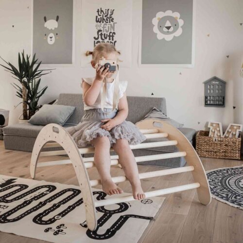 Montessori ronimiskaar