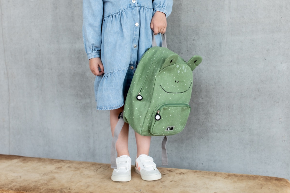 Backpack - Mr. Frog - Image 5